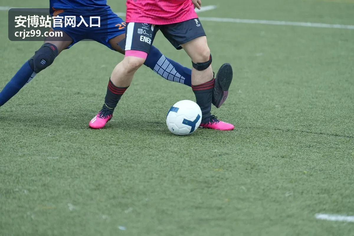 安博站平台功能概览