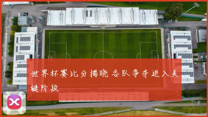 世界杯赛比分揭晓 各队争夺进入关键阶段