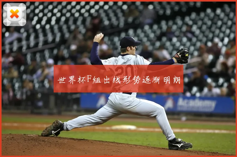 世界杯F组出线形势逐渐明朗