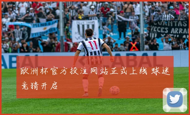 欧洲杯官方投注网站正式上线 球迷竞猜开启